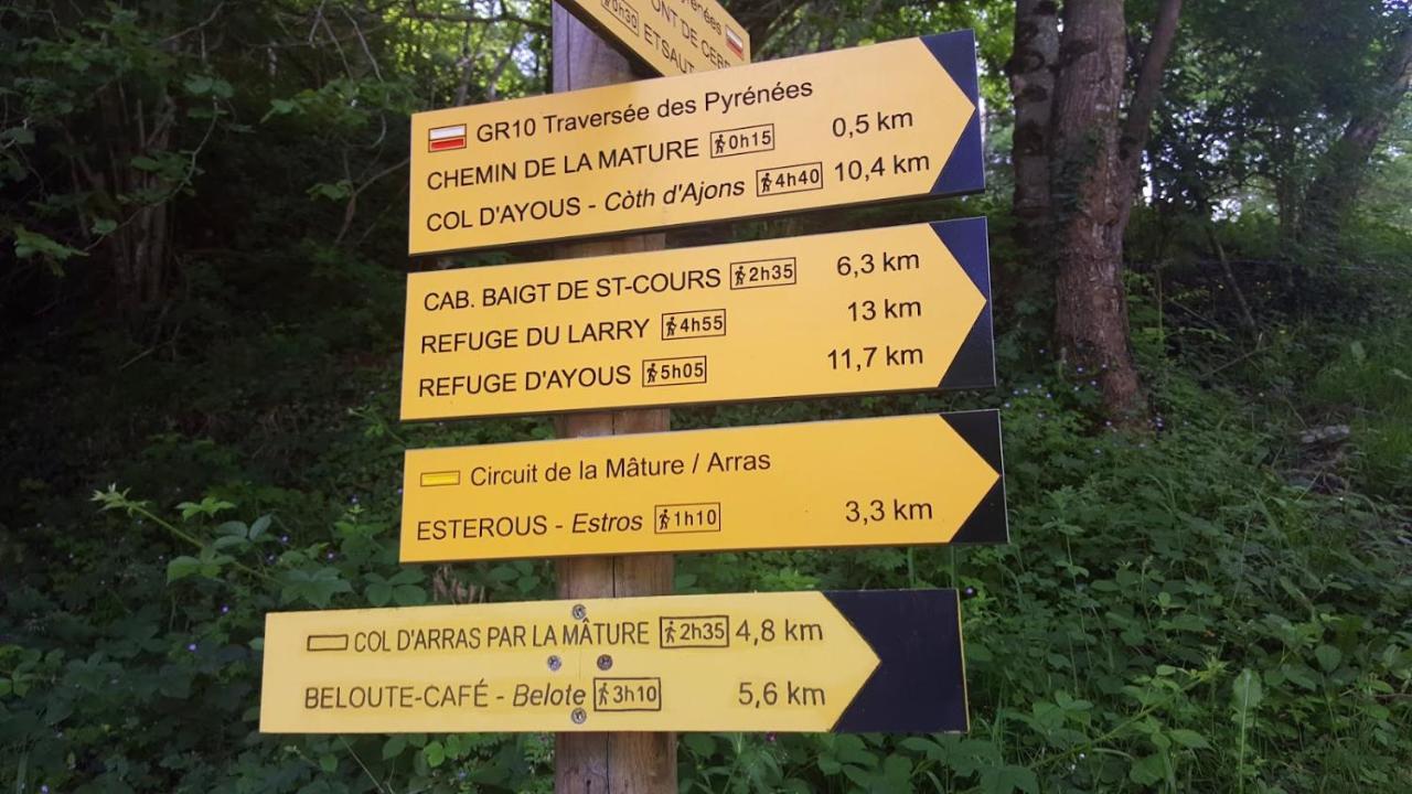 Le Gite Des Mousquetaires Lanne-en-Baretous Exterior foto