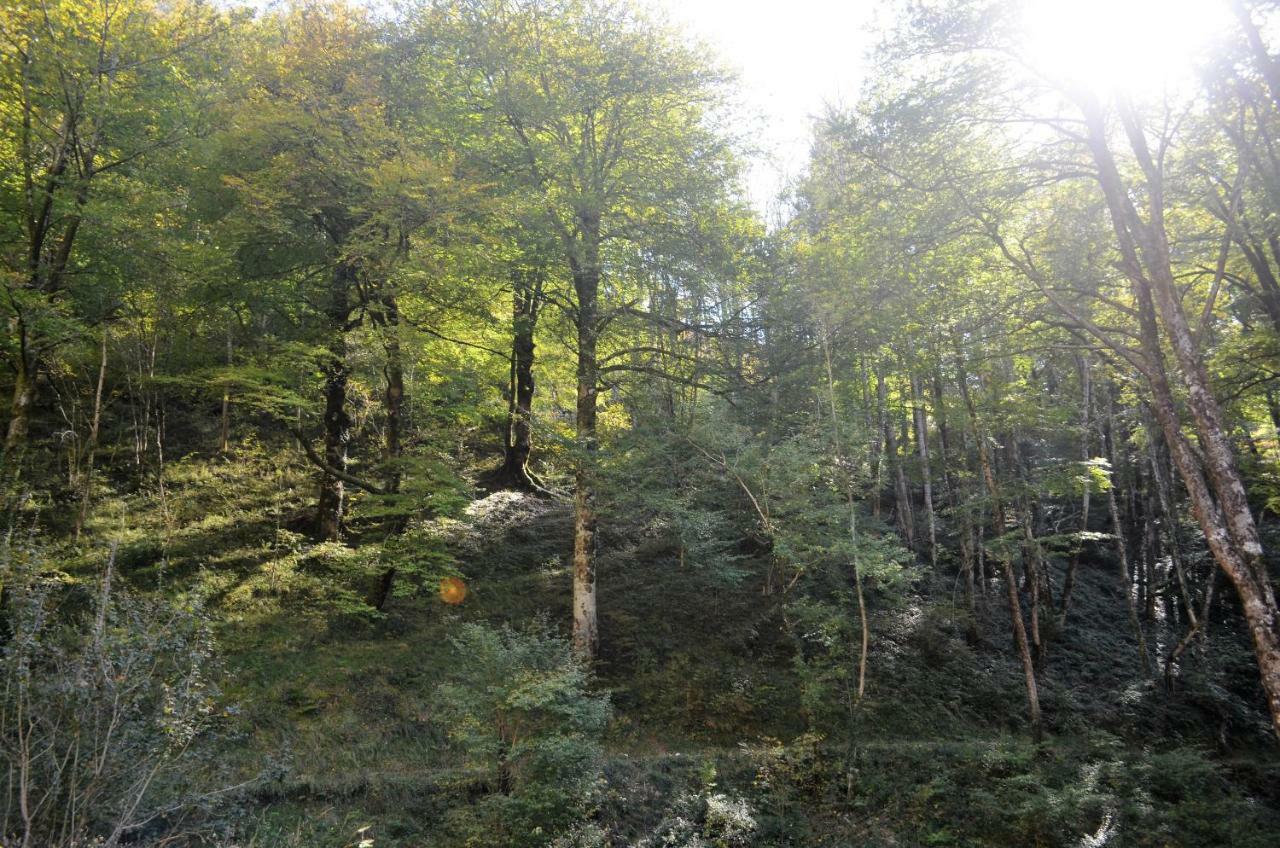 Le Gite Des Mousquetaires Lanne-en-Baretous Exterior foto