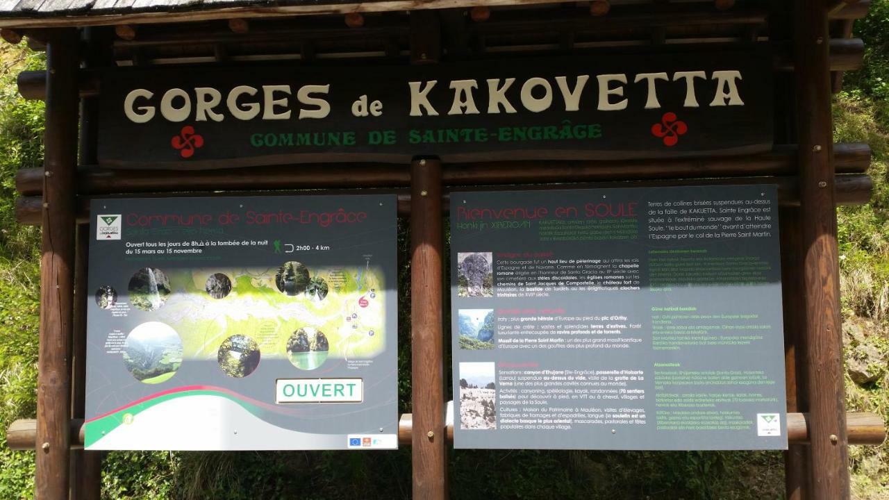 Le Gite Des Mousquetaires Lanne-en-Baretous Exterior foto